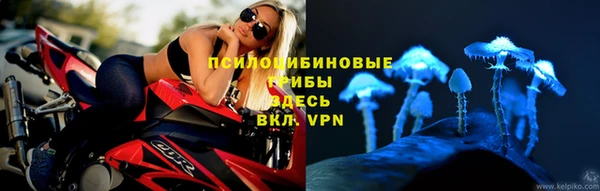 прущий лед Бронницы