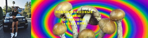 героин Бородино