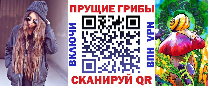 Псилоцибиновые грибы Cubensis  Новая Усмань 